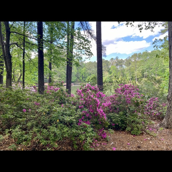 Meet your Posher, Catherine - Picture 1 of 1